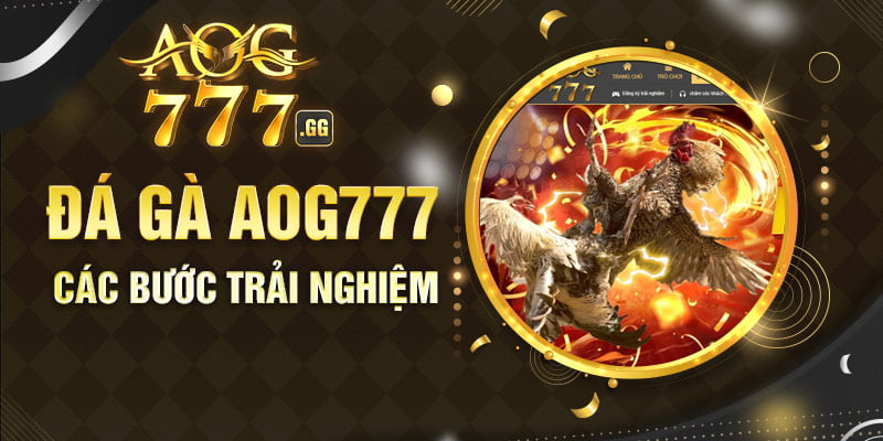 Các bước đặt cược đá gà tại KUBET