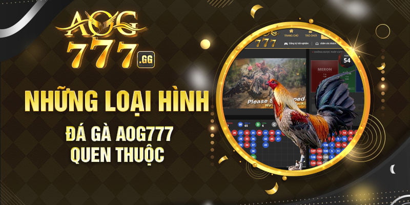 Những loại hình chọi gà được yêu thích tại KUBET