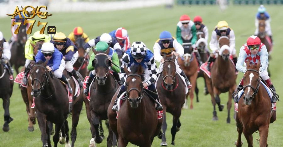 Kinh nghiệm soi kèo đua ngựa từ các chuyên gia