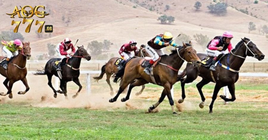 Tìm hiểu thông tin soi kèo đua ngựa là gì?